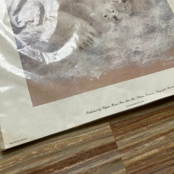 Polar Bear & Cubs Art Print J Sharkey Thomas Vintage 70s Wildlife Pepper House - Picture 4 of 7